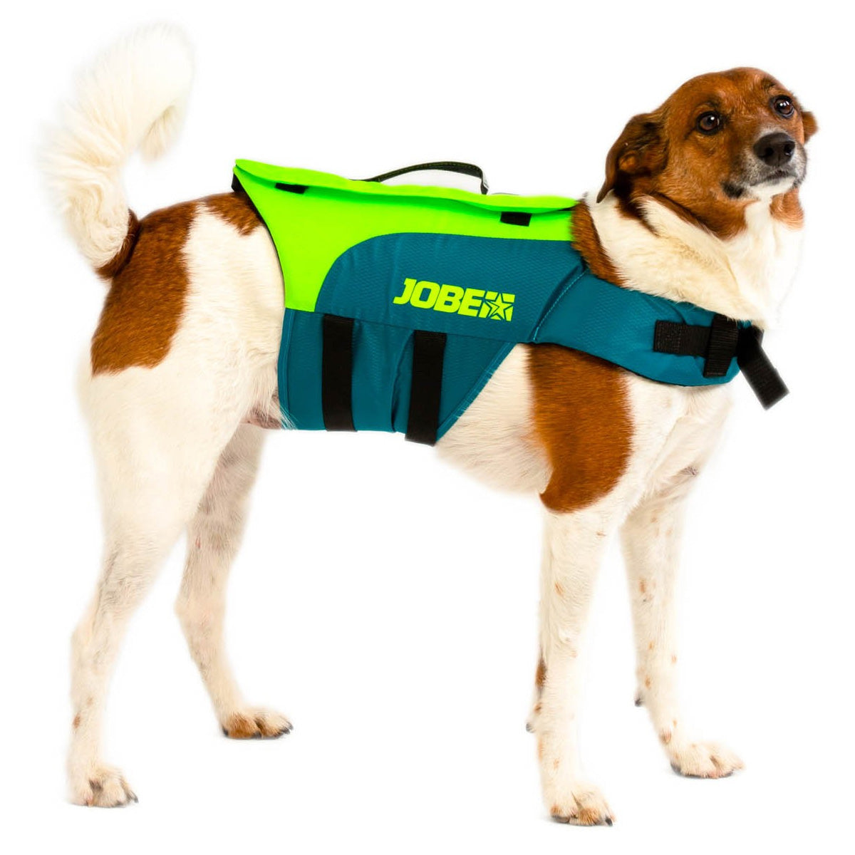Jobe Buoyancy Pet Vest - SUP