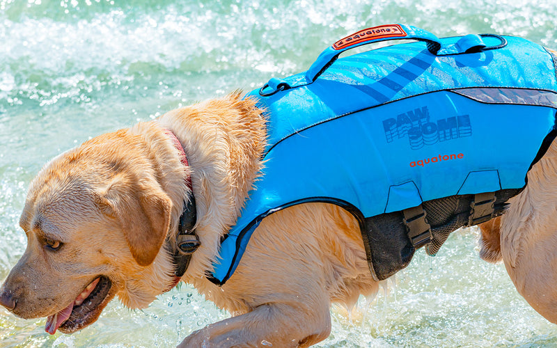 Aquatone Pawsome Buoyancy Pet Vest - SUP