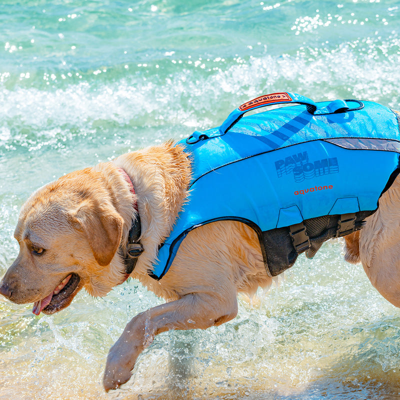 Aquatone Pawsome Buoyancy Pet Vest - SUP