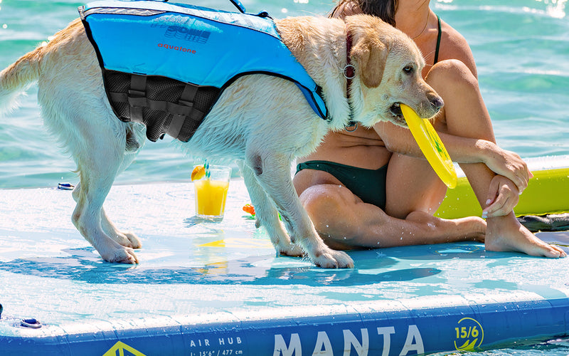 Aquatone Pawsome Buoyancy Pet Vest - SUP