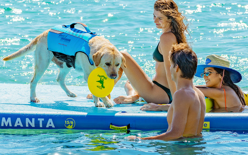Aquatone Pawsome Buoyancy Pet Vest - SUP