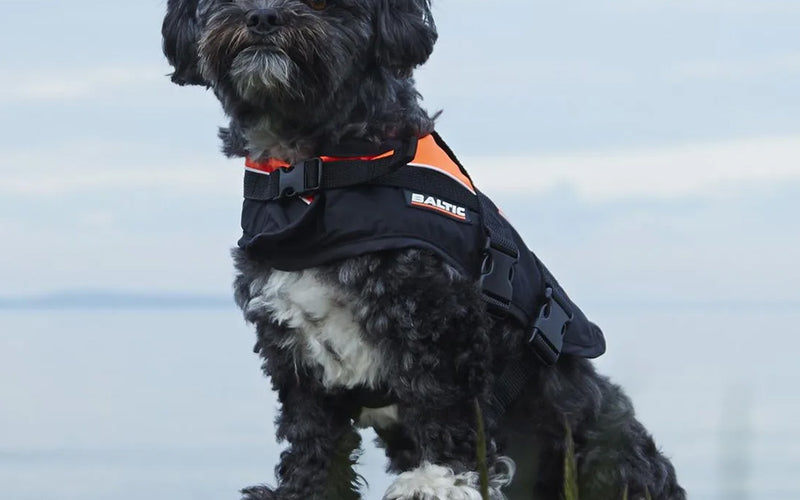 Baltic Pet Buoyancy Vest