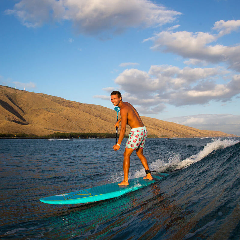 Fanatic Fly - Ex Demo