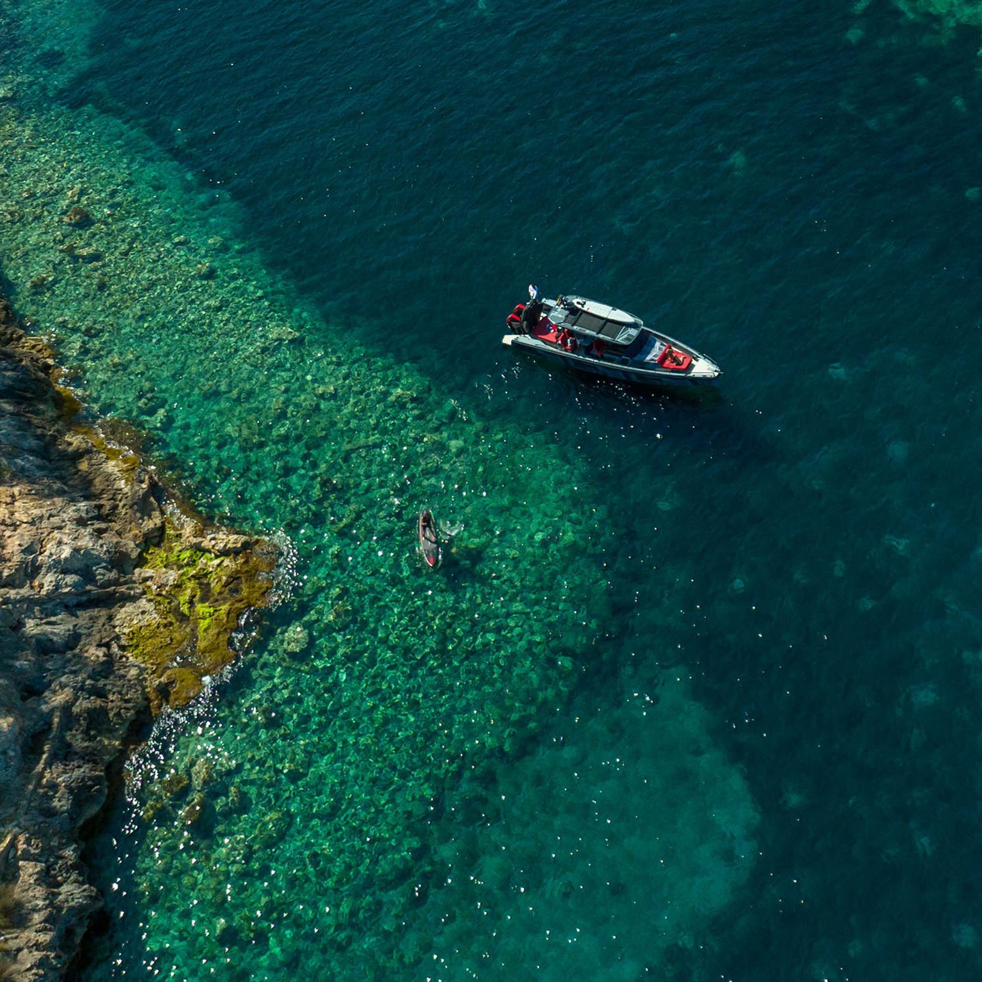 Jobe Brabus X Jobe Shadow