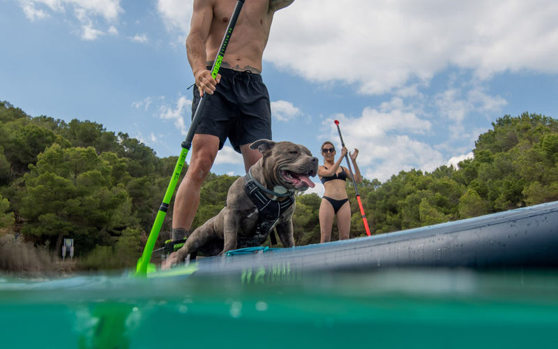 Jobe Stream Carbon 40 3-Piece - SUP