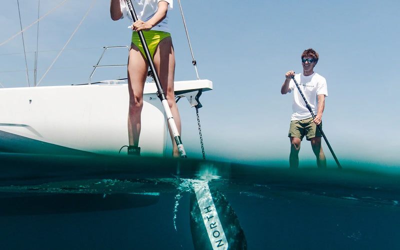 North Pace Tour - SUP