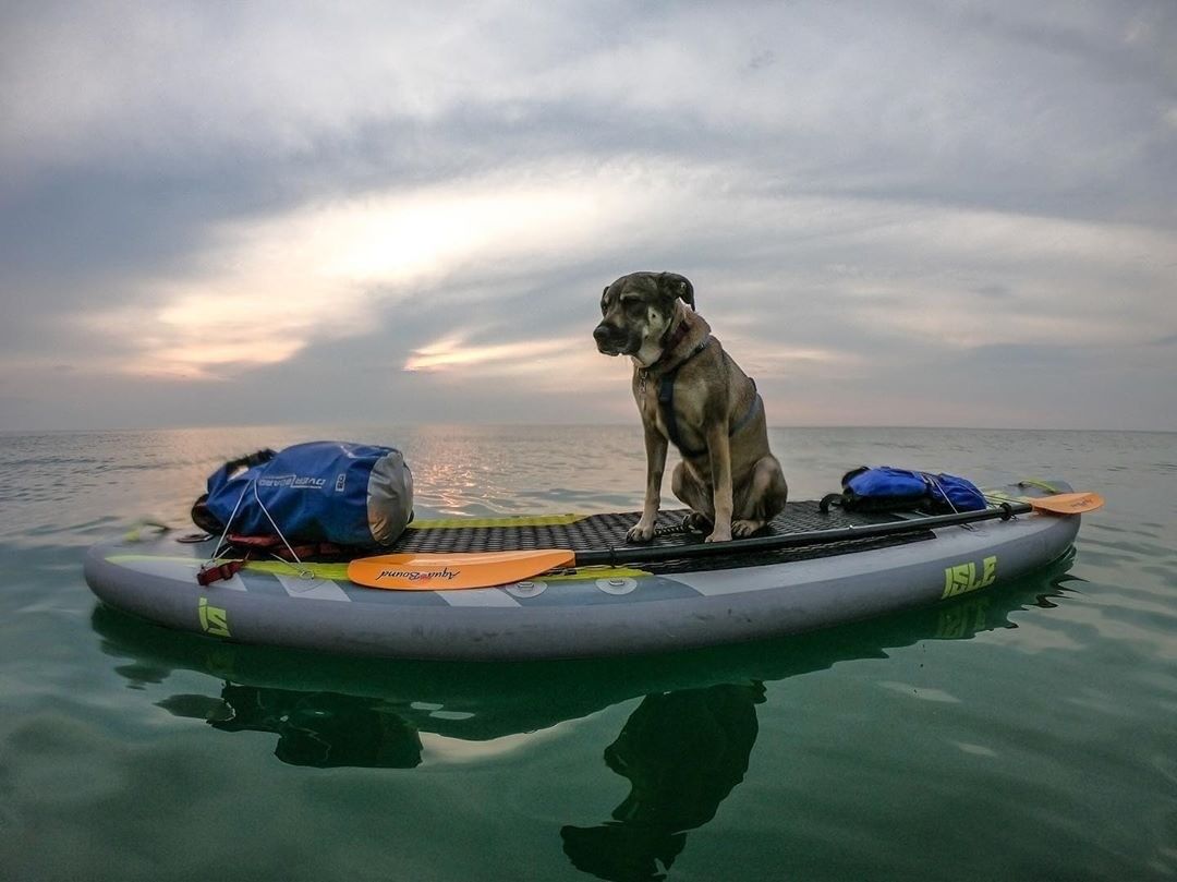 OverBoard Dry Tube Bag