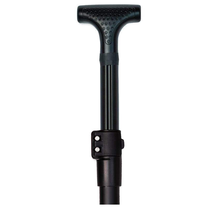 SIC Maui Tao Air Glide Tour - SUP