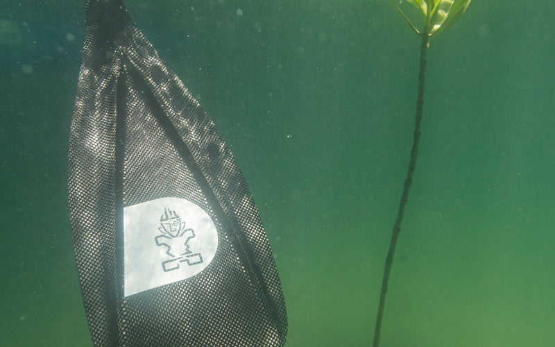 Starboard Lima Carbon 2-Piece