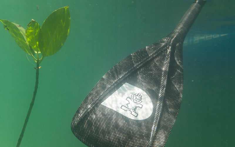 Starboard Lima Carbon 2-Piece